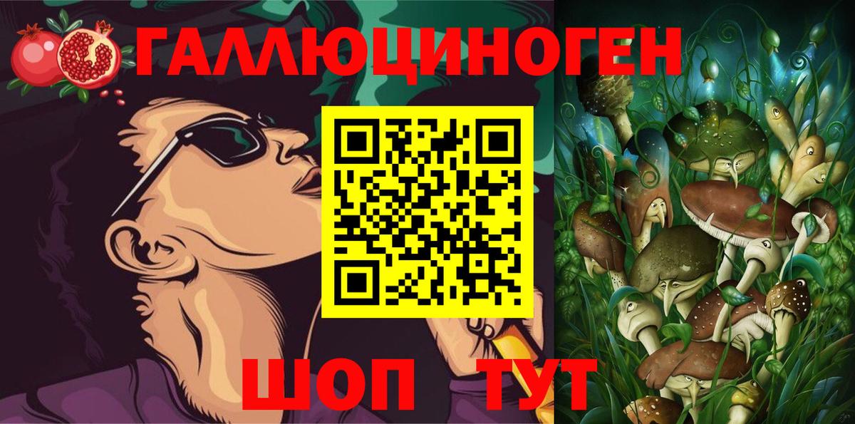 Тольятти  Псилоцибиновые грибы GOLDEN TEACHER  Вход с VPN 