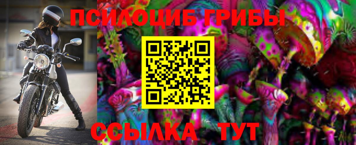 Галлюциногенные грибы прущие грибы Тольятти